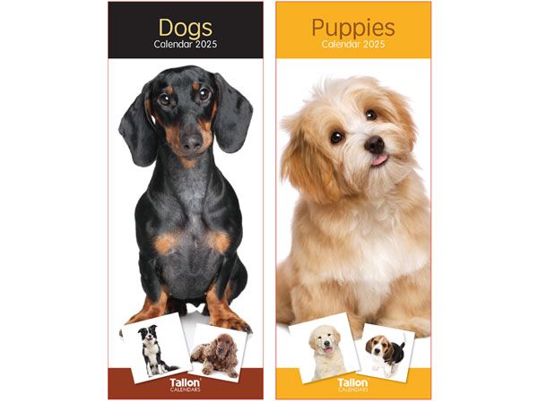24x 2025 Super Slim Calendar - Puppies And Dogs