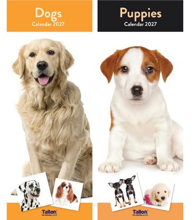 24x 2027 Super Slim Calendar - Puppies And Dogs