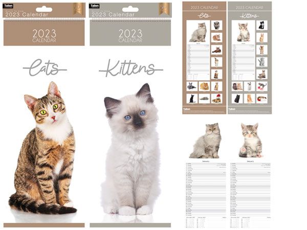 24x 2023 Superslim Calendar - Kittens And Cats