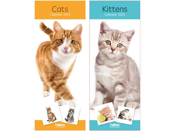 24x 2025 Super Slim Calendar - Kittens And Cats