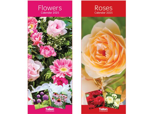 24x 2025 Super Slim Calendar - Flowers And Roses