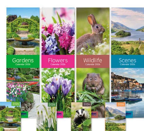 2025 Slim Calendar + WTV Diary | Wholesale Diaries