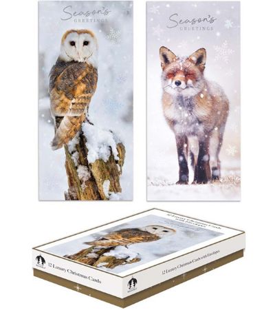 Festive Wonderland 12 Luxury Christmas Cards - Owl/Arctic Fox Designs | X9030A