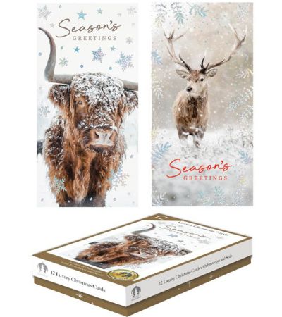 Festive Wonderland 12 Luxury Christmas Cards - Highland Cow/Stag Designs